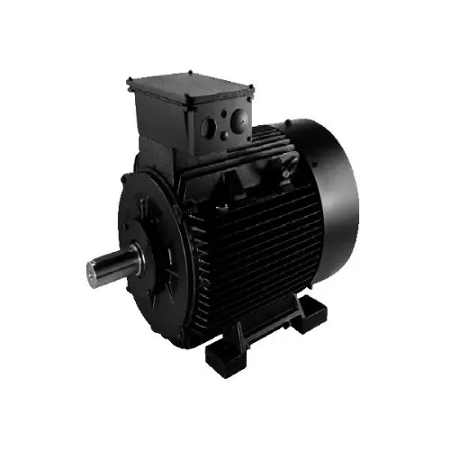 standard pump motor