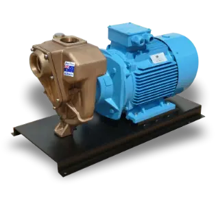 B3ZPM-A/B 18kW GMP Corrosion Resistant Electric Drive Transfer Pumps